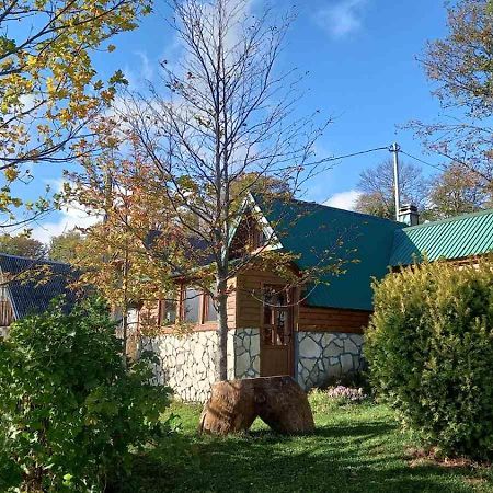 Family Farm Bungalow Žabljak Zewnętrze zdjęcie